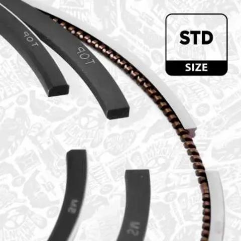 013RS101070N0 Mahle Original Кільця поршневі на 1 циліндр, STD.