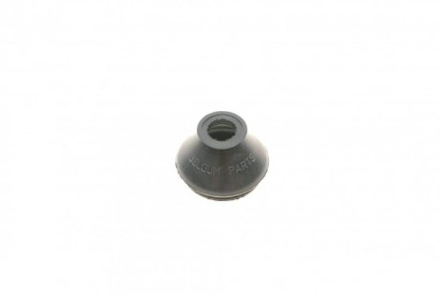 BG0172 Belgum 