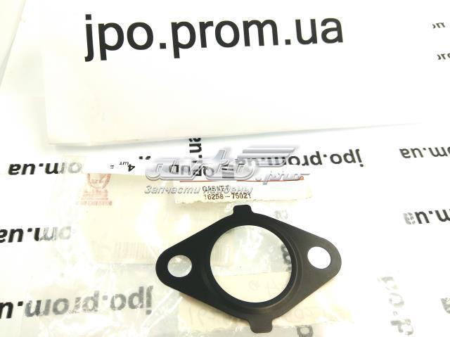 Купити 1625875021 Toyota Прокладка термостата
