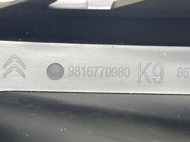 9816770980 Peugeot/Citroen 