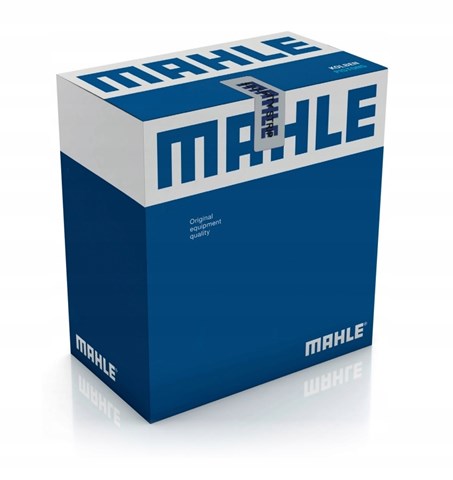 007PI00106001 Mahle Original 