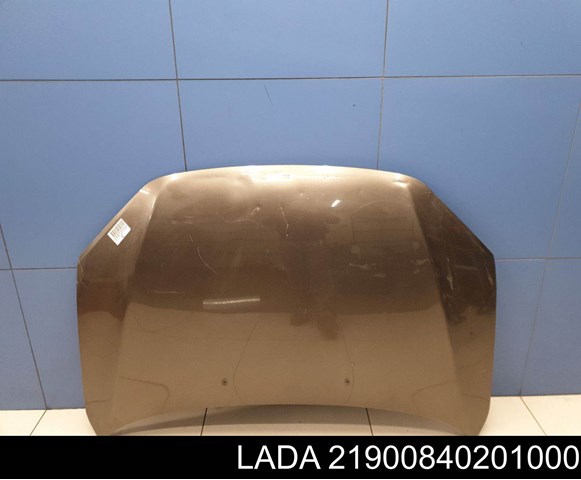 Капот Lada 21900840201000