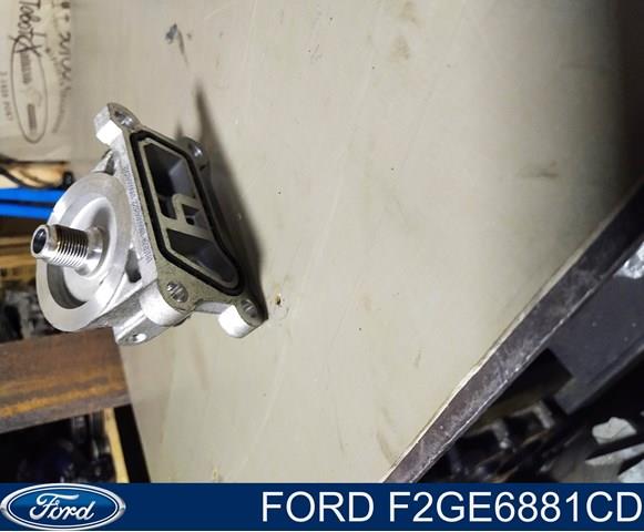  F2GE6881CD Ford