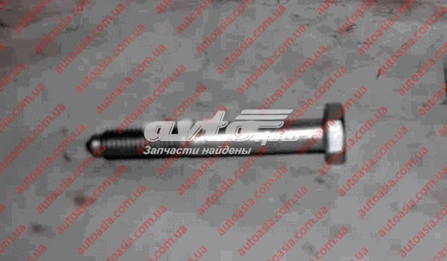 N10023602 Chery Болт кріплення заднього нижнього важеля