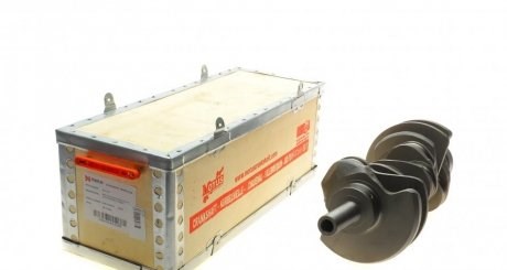  MTS1205 Motus