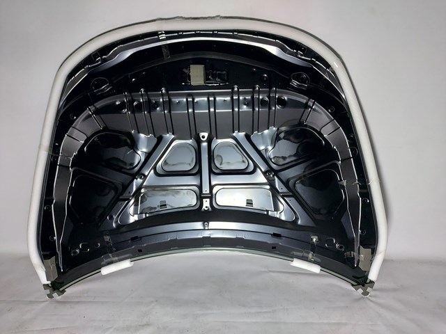 NSL113659 Rhino Капот