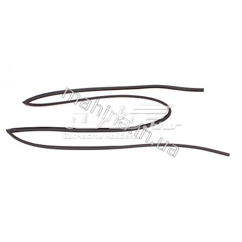 Молдинг лобового скла Chery S215206311