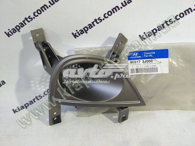  865173J000 Hyundai/Kia