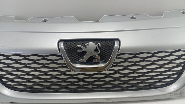 Купити 1306599070 Peugeot/Citroen 