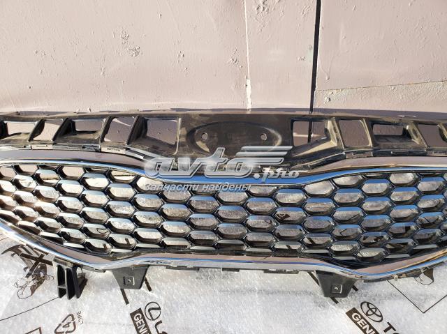 Купити 86351A2AA0 Hyundai/Kia Захисна решітка радіатора