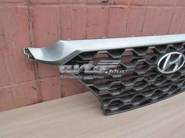 Купити 86350S1100 Hyundai/Kia Захисна решітка радіатора