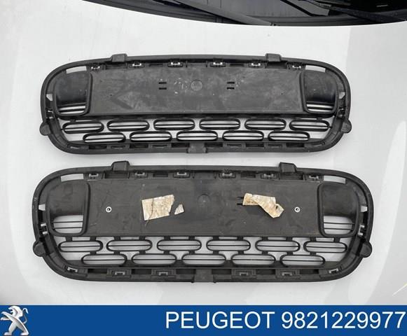 Купити 9821229977 Peugeot/Citroen 