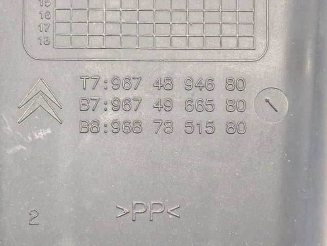 Купити 9674894680 Peugeot/Citroen 