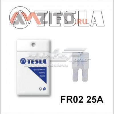  Tesla FR225A