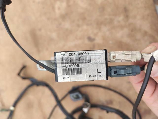 100479300D Tesla 