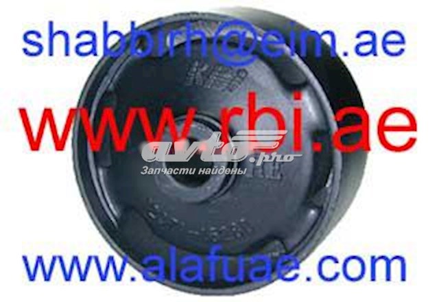 Купити T0929E RBI Задня подушка двигуна