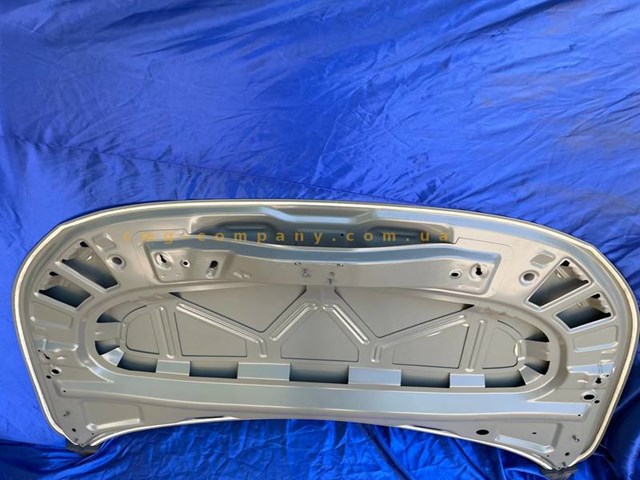 Купити 12D823031 VAG Капот