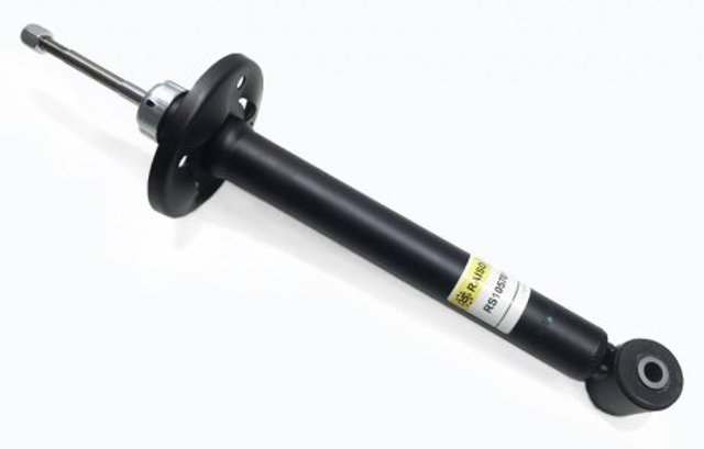 RS105781G Raiso Амортизатори задні