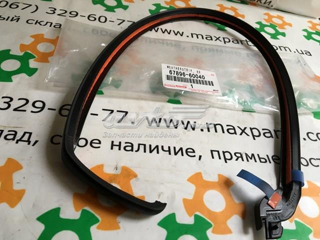 Ущільнювач дверей задніх, лівих (на двері) Toyota 6789660040 ціна, від 13.55 USD