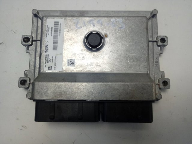 9829598880 Peugeot/Citroen 