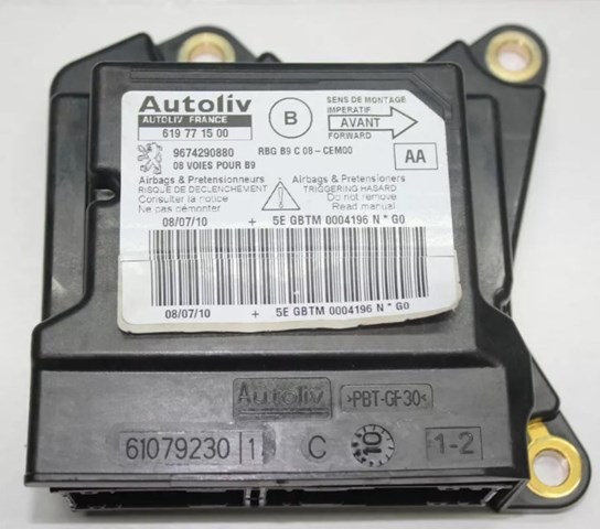  9674290880 Peugeot/Citroen
