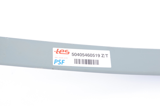 50405460519ZT TES Ресора (задня)