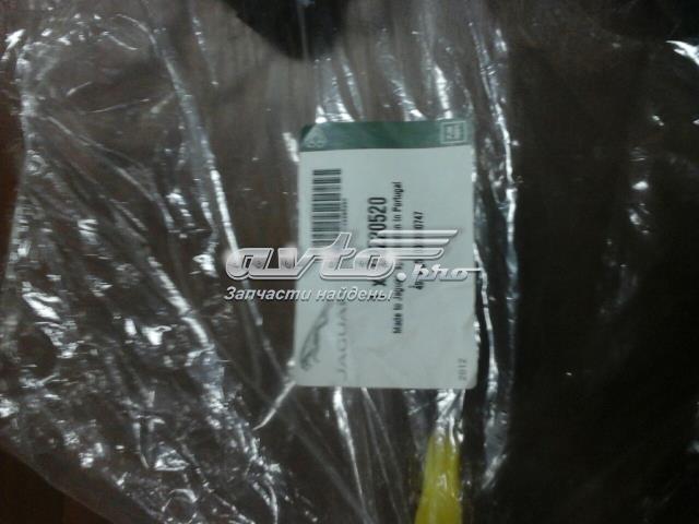 C2Z20520 Jaguar 