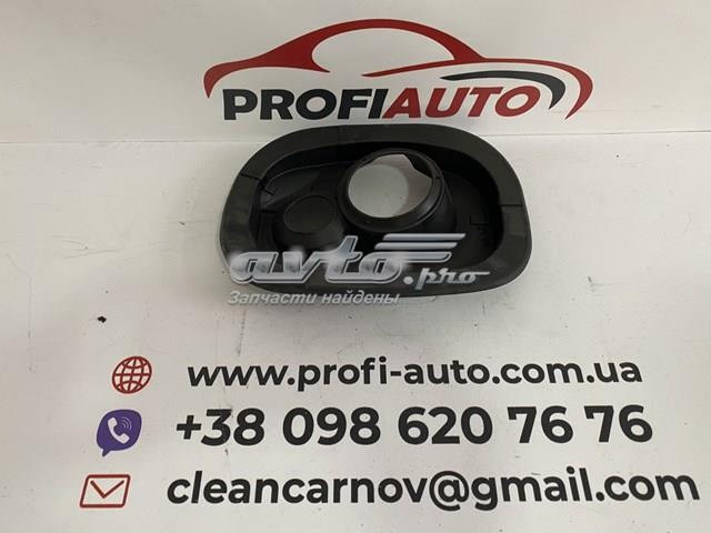  VAG 17A809933