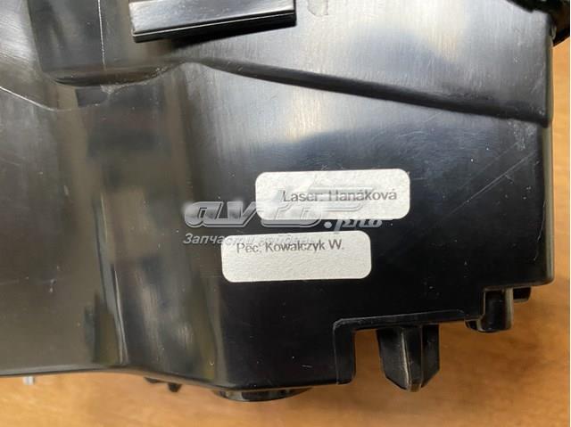  T4K1829 Jaguar