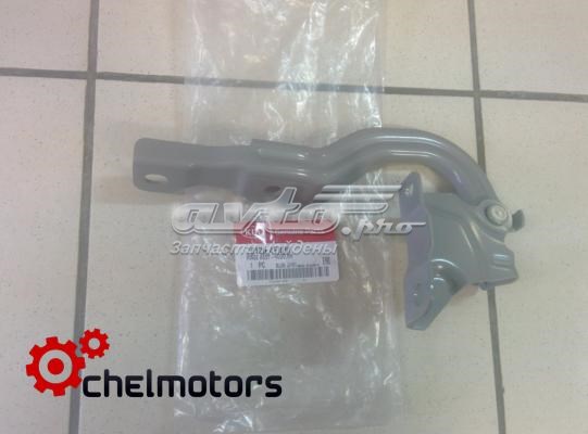 Купити 791204Y000 Hyundai/Kia Шарнір капота правий