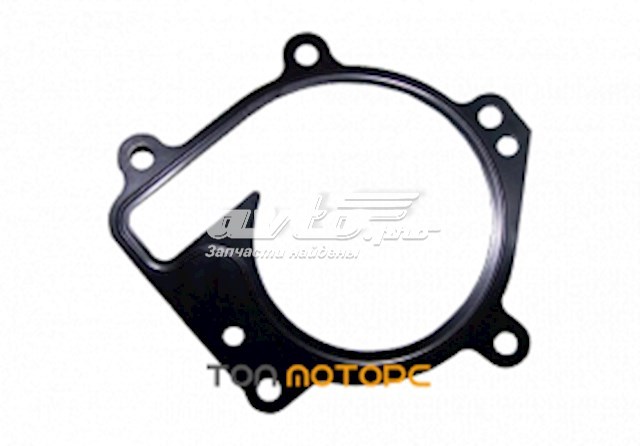 Прокладка водяної помпи 473H1307041 Chery