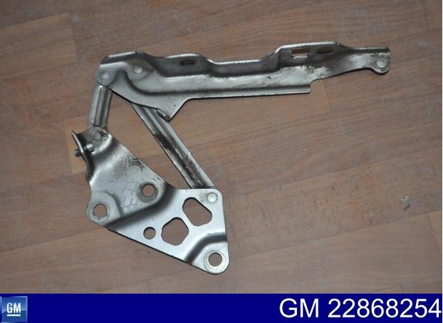 22868254 General Motors 