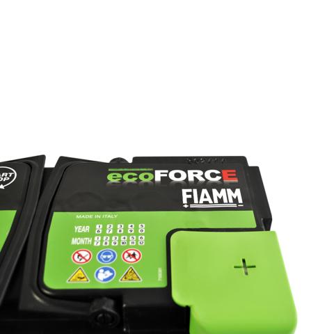  7906196 Fiamm