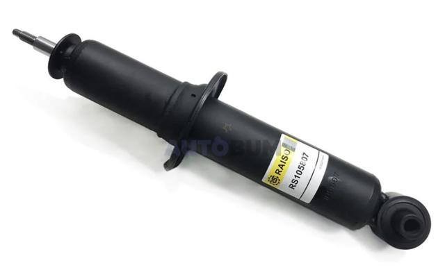 Задній амортизатор Raiso RS105807G