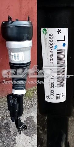 Купити A2223201913 Mercedes 