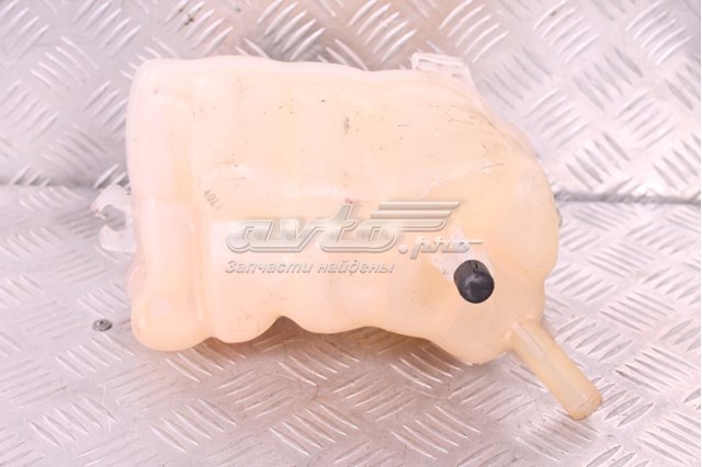 Бачок системи охолодження DG938A080AD Ford