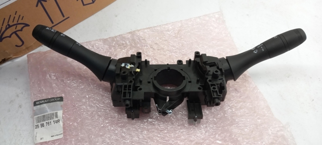  255676114R Renault (RVI)