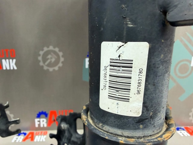 Купити 9676831780 Peugeot/Citroen 
