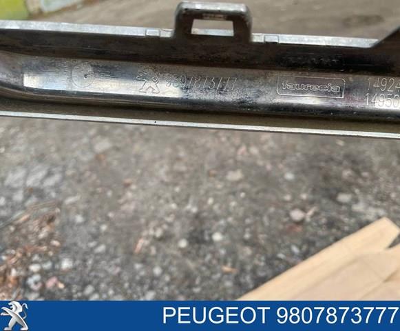  Peugeot/Citroen 9807873777