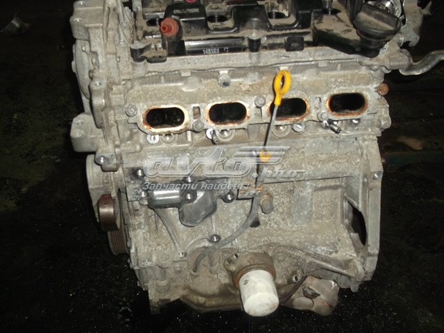 Двигун 101024EF1A Nissan/Infiniti