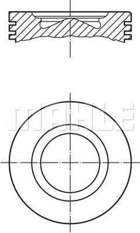  007PI00106001 Mahle Original