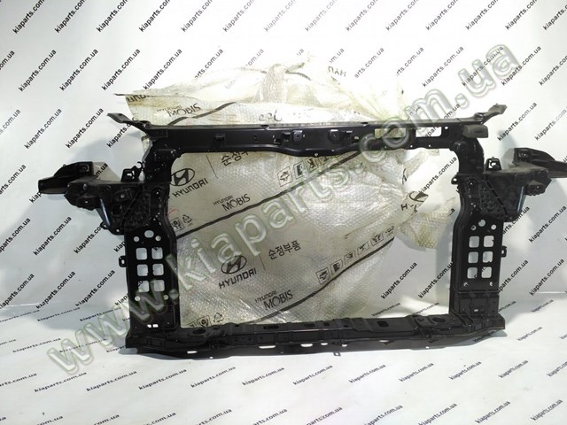 Панель передня Hyundai/Kia 641012W700 ціна, від 185.71 USD