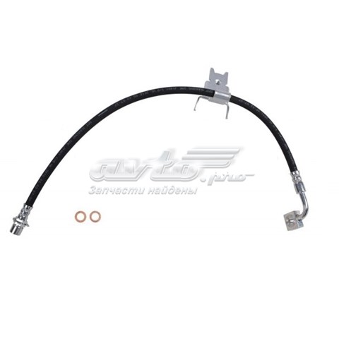 H622019 Dorman 