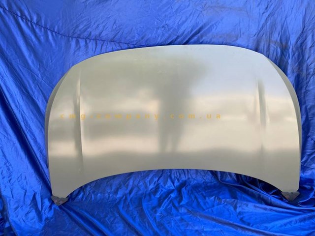 Капот VAG 12D823031 ціна, від 559.68 USD