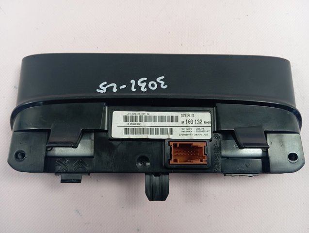  Peugeot/Citroen 9810313280