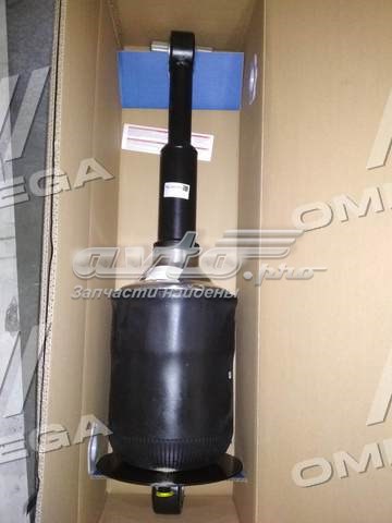 Амортизатори передні MAN 81436506018