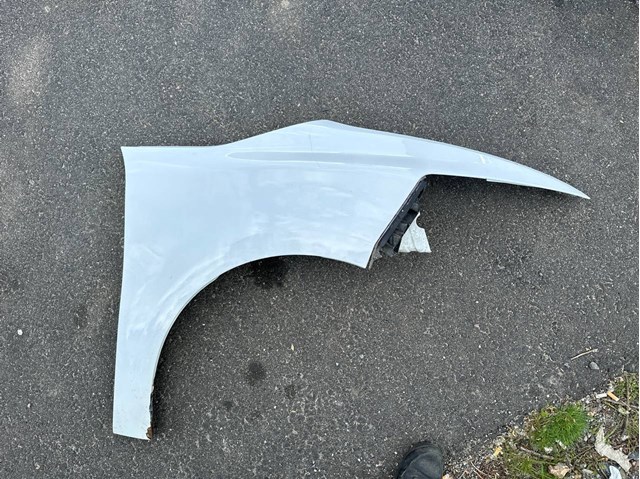 Купити 9803150280 Peugeot/Citroen Крила