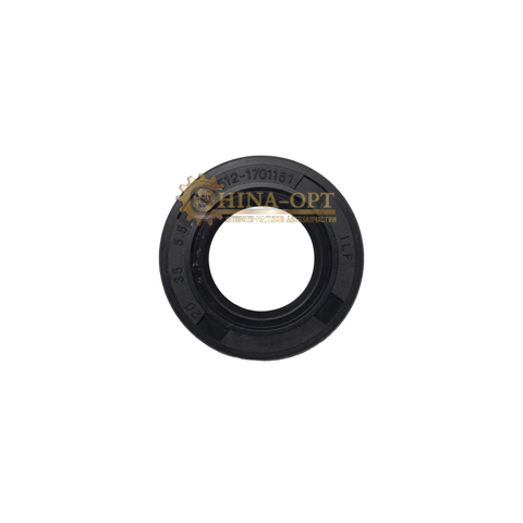 BS1041701880 Chery 