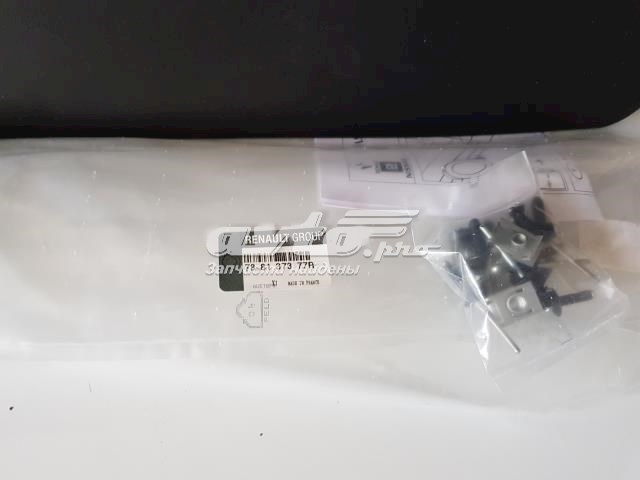 Купити 788137377R Renault (RVI) Бризковики задніх арок