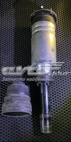 LR090610 Land Rover 
